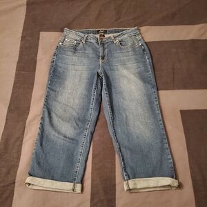 Women's Earl Jeans Size 14 Darkwash Capri Denim Jeans